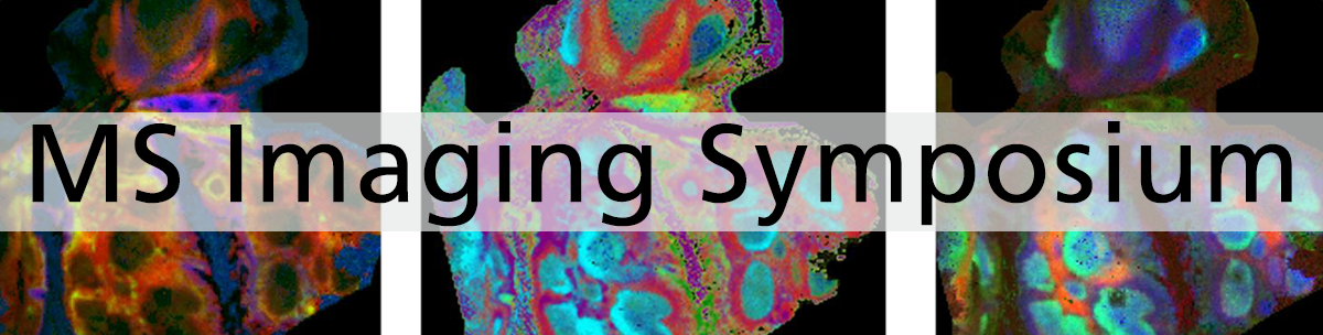 MSI-Symposium MSI-Symposium